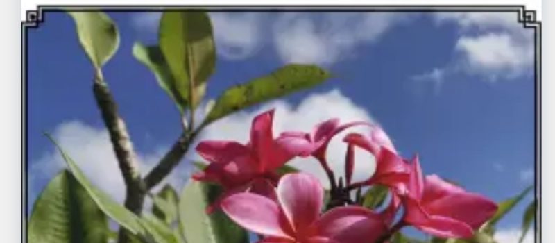 photo Astuces bien-être